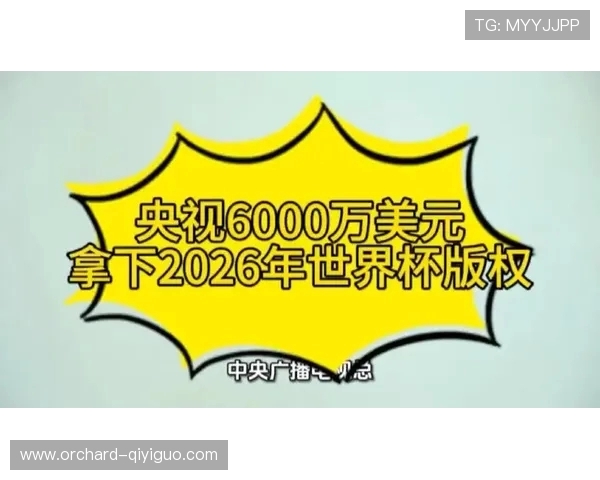 综合体育-深度看点：央视获2026、2030两届世界杯转播权，美加墨版权费六千万美元