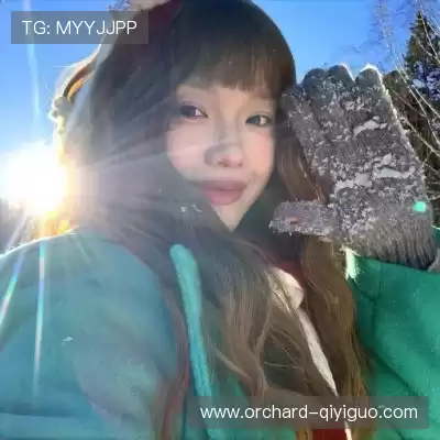 经新海